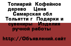 Топиарий “Кофейное дерево“ › Цена ­ 500 - Самарская обл., Тольятти г. Подарки и сувениры » Изделия ручной работы   